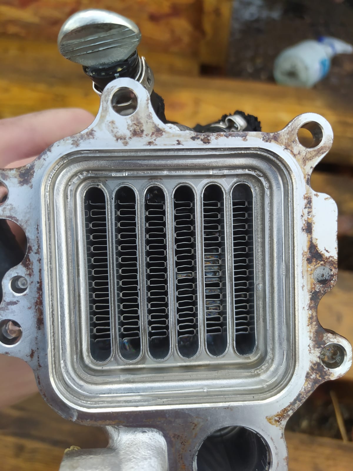 Walnut blasting after carbon cleaning